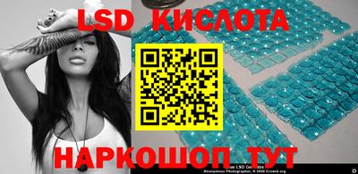 стаф Гатчина