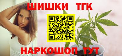 стаф Гатчина