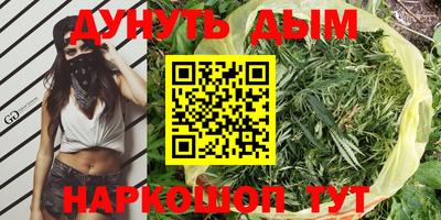 стаф Гатчина