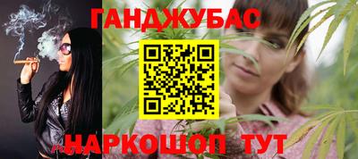 стаф Гатчина