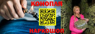 стаф Гатчина