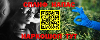 стаф Гатчина