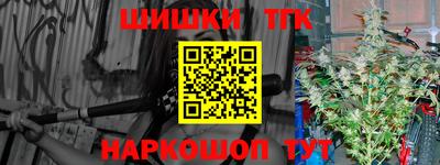 стаф Гатчина