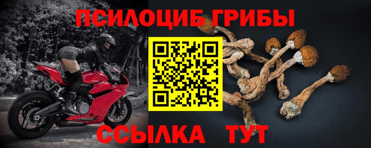 Белорецк  Галлюциногенные грибы Psilocybine cubensis  Вход с VPN  Псилоцибиновые грибы Cubensis 